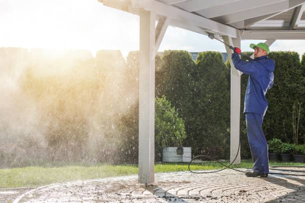 Best Roof Washing  in Westville, OK